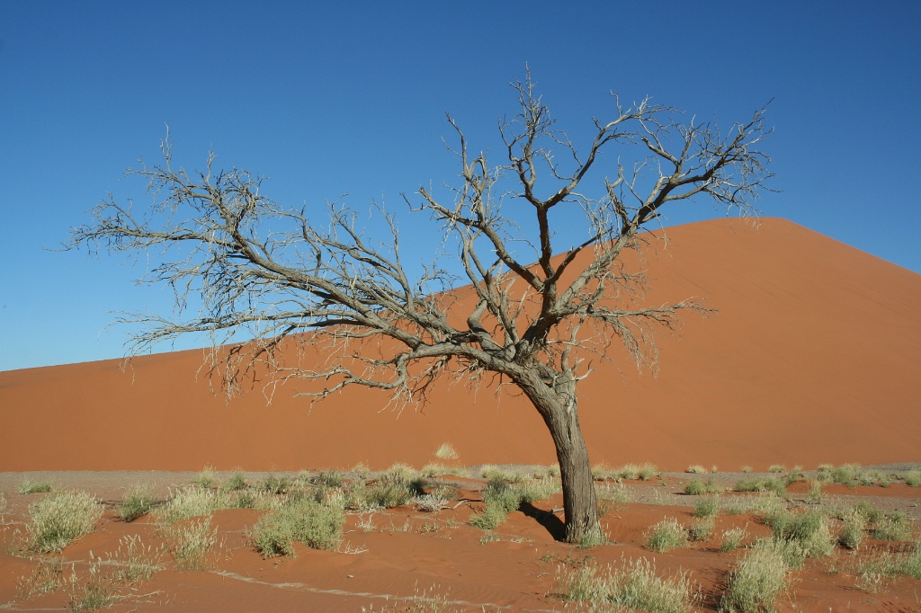 Namibia (39)